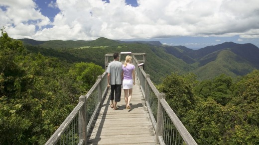 Skywalk at the Dorrigo Rainforest Centre.