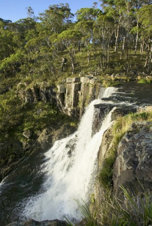 Ebor Falls, Ebor between Armidale and Dorrigo.