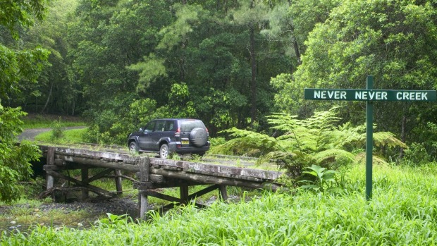 Gleniffer Gorge, Dorrigo National Park.