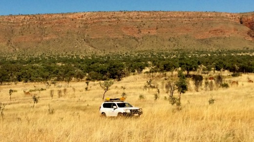 Four wheel driving at Mornington Wilderness Camp.