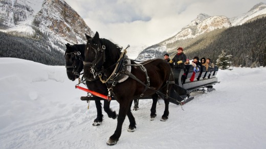 Jingle bells: a sleigh ride at Lake Louise.