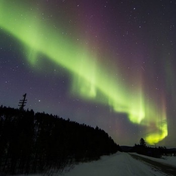 @noodlydog northern lights in Finland.