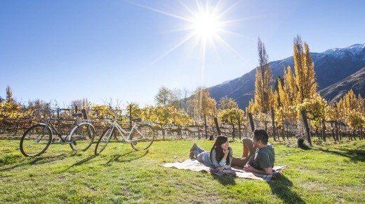 When you tire of speeding down the slopes, rent a cycle and tour the local vineyards.