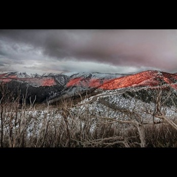 Red spots on Hotham #misssnowitall #skimaxholidays