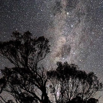 Milky Way at Mt Buller #misssnowitall #skimaxholidays