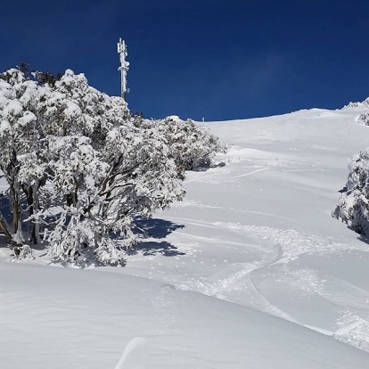 Freshies at Falls Creek.