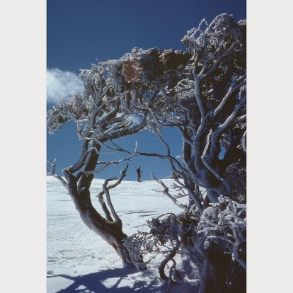 Mt Bogong, cross-country skiing.