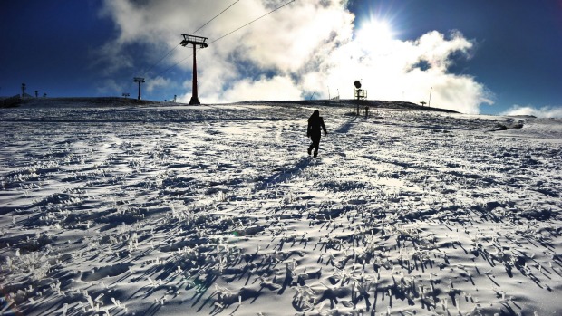 Snow covered grass and lenty of man made snow on the Bourke street run at Mt Buller for the opening this weekend. 3rd ...