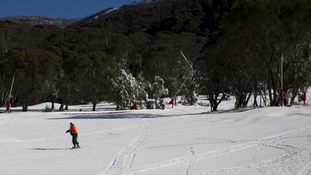 A worker gets in a sneaky run at Thredbo before the crowds arrive.