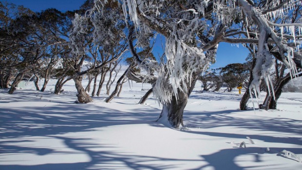 Up to 30 centimetres fell on Australian resorts only days before the Opening Weekend. The timing couldn't be better. Add ...