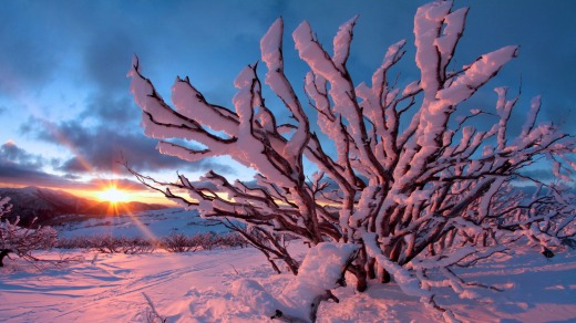 Sunset paints the snow pink at Falls Creek.