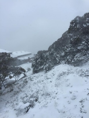 Snowfall over Mt Hotham. A further 3cm is expected to fall this weekend.