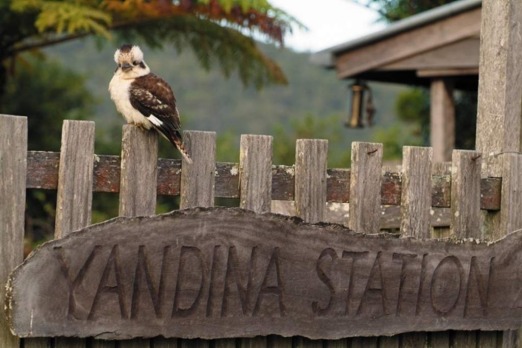 Country getaway: Yandina Station