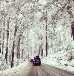 Silence Falls Creek.