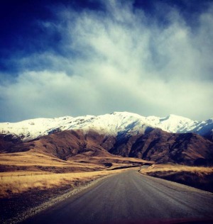 @jasonjohn1 Loui the snow pup, Cardrona.