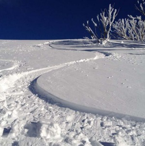 Bluebird backcountry fresh.