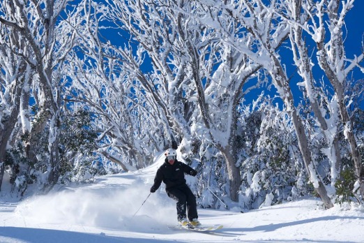 Winter Olympian Steve Lee on his own signature backcountry tour at Falls Creek.