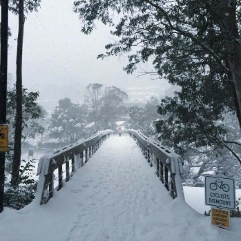 Obligatory bridge shot in this weeks snow storm.