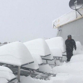 @jasonjohn1 Loui the snow pup, Cardrona.