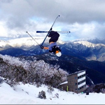 Mt Buller Chamois.