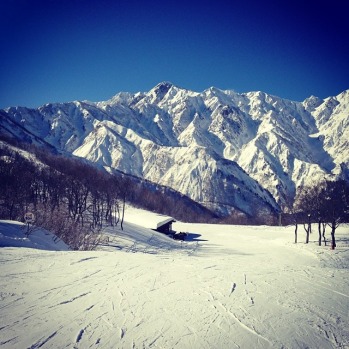 Stunning day on the hill, Hakuba, by @portiaskye