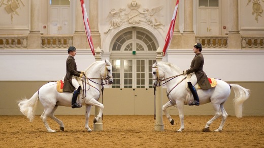 Spanish Riding School, Vienna, Austria.