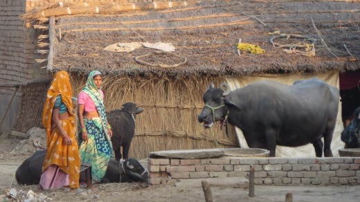 On the Mughal Heritage Walk in Agra, India: Villagers in Kacchpura.