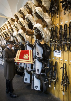 Spanish Riding School, Vienna, Austria