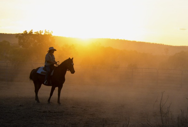 Lonely stockman at sunset.