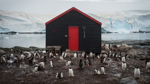 Penguin post. The little Post Office at Port Lockroy.