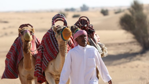 Visitors can meet and ride one of the camp?s camels