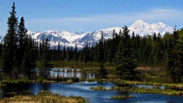Mount McKinley is the highest mountain in North America.