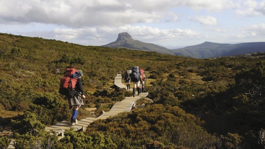 Unique Aussie experience. Whenever the dollar dips, Australian tourism is the winner with excursions such as walking ...