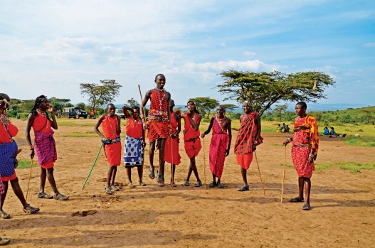 Meet the Masai. Enter the traditional houses, watch celebratory dances, and learn more about this warrior tribe, one of ...