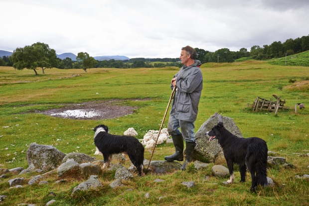 Getting your hands dirty: Go behind the scenes with a visit to a working sheep farm in the Scottish Highlands.