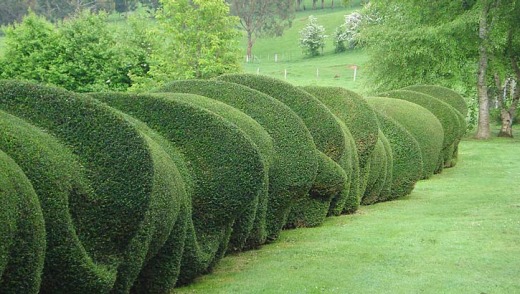 Hedges line the gardens of Old Wesleydale.