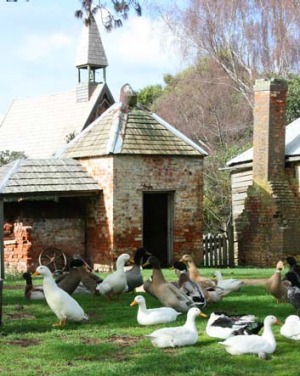 World Heritage listed Brickendon is a working farm.