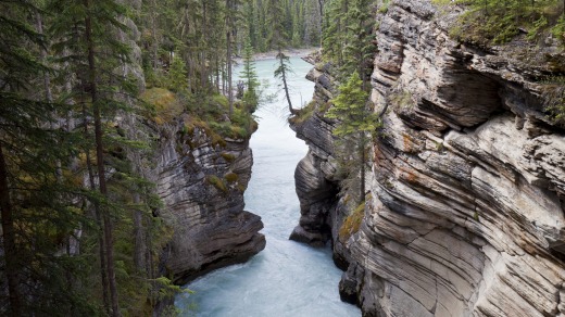 A gorge by the Athabasca Falls in Jasper National Park.