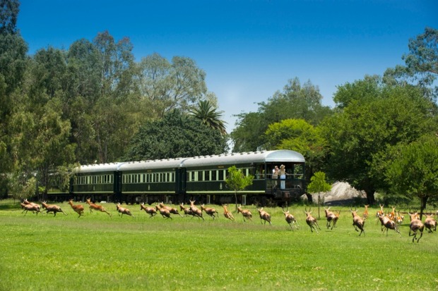 The Pride of Africa passes wildlife.