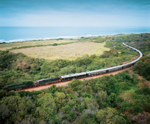 The Pride of Africa is the self-styled 'most luxurious train in the world'.