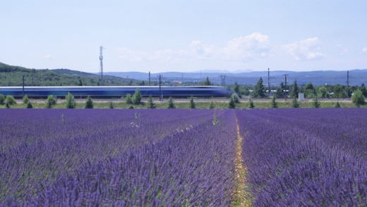 Flying through France: The TGV high-speed train passes glorious sights such as lavender fields.