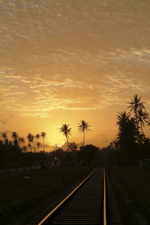 Westward-ho: A branch of the Sri Lankan railways heads into the sunset.