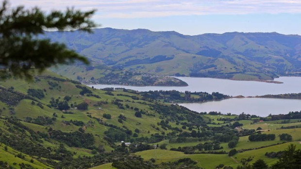 Keeping track: leaving Akaroa.