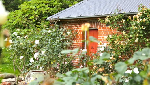 The historic shed that remains on Homebush Station after a devastating earthquake.