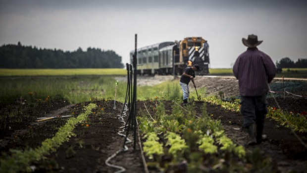 Lap of luxury: The train winds its way along the St Lawrence seaway.