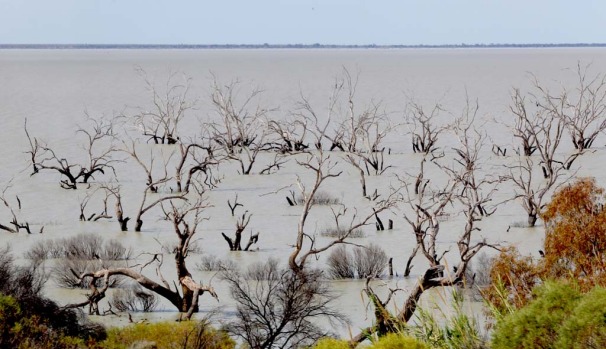 Menindee Lakes near Broken Hill.