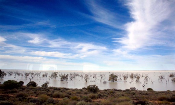 Coming into Broken Hill on board the Indian Pacific.