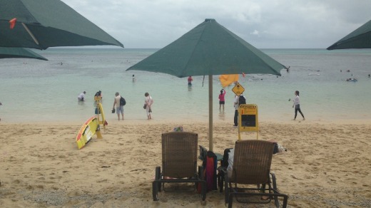 Green Island: reef and rainforest.