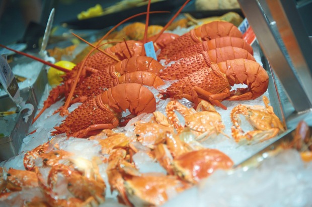 Lobsters, Port Stephens.