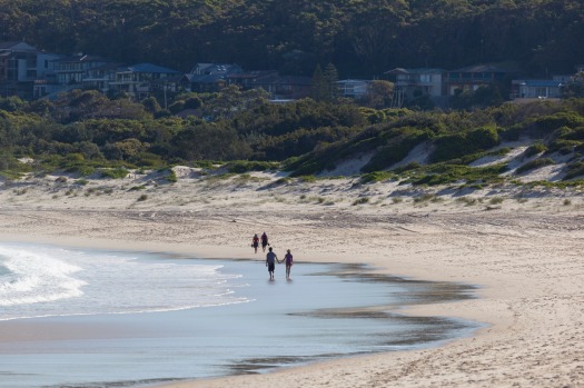 From cycling along coastal tracks to wildlife watching, here are 20 of the best reasons to visit Port Stephens.